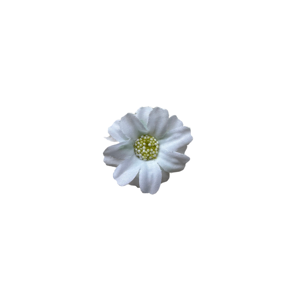 Bloom & Write : Daisy