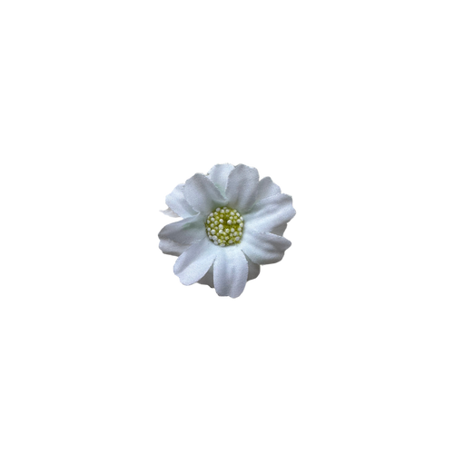 Bloom & Write : Daisy