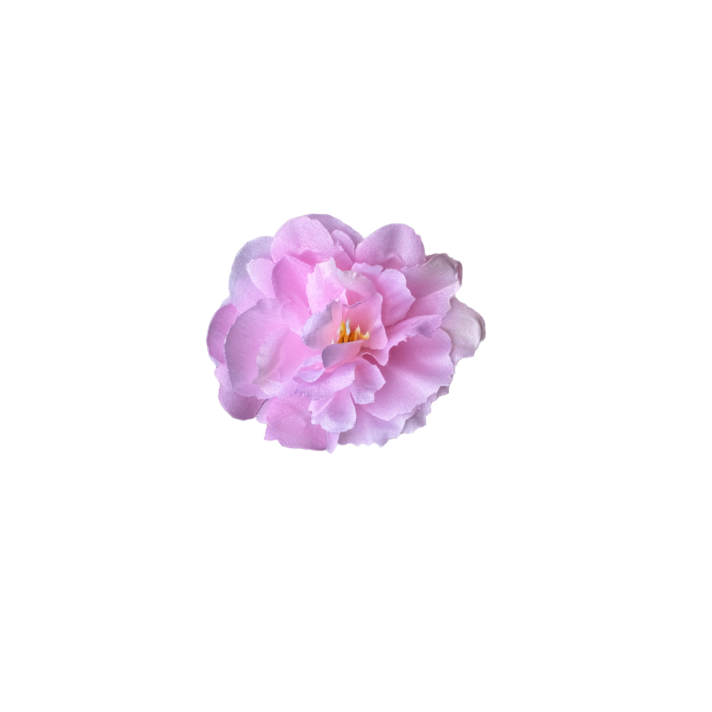 Bloom & Write: Multi Color