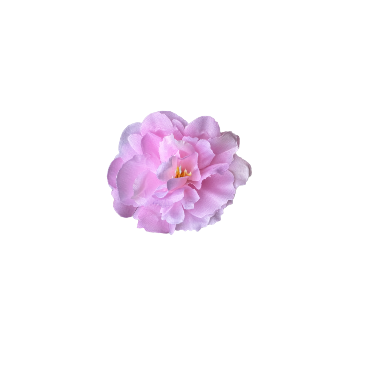 Bloom & Write: Multi Color