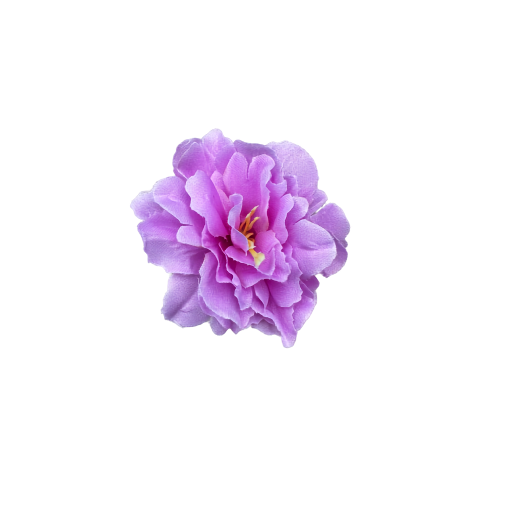Bloom & Write: Multi Color