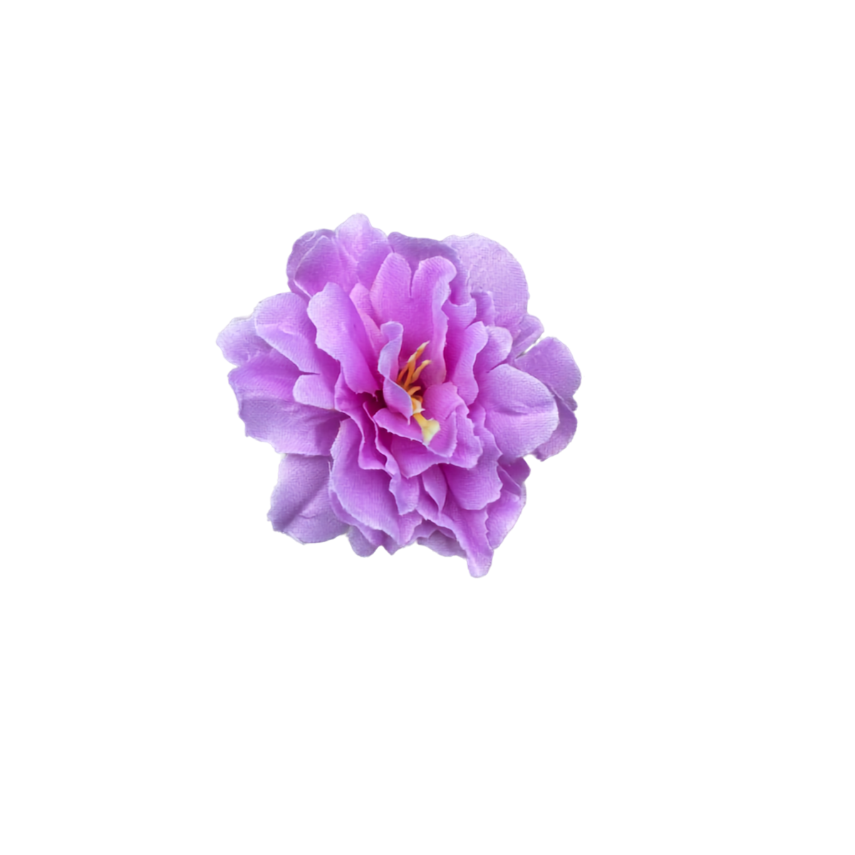 Bloom & Write: Multi Color