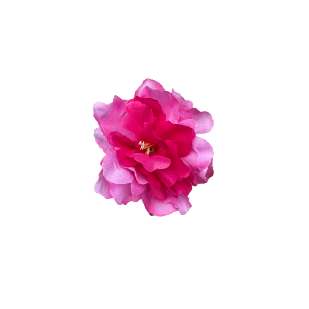 Bloom & Write: Multi Color