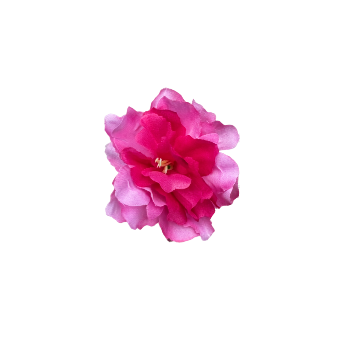 Bloom & Write: Multi Color