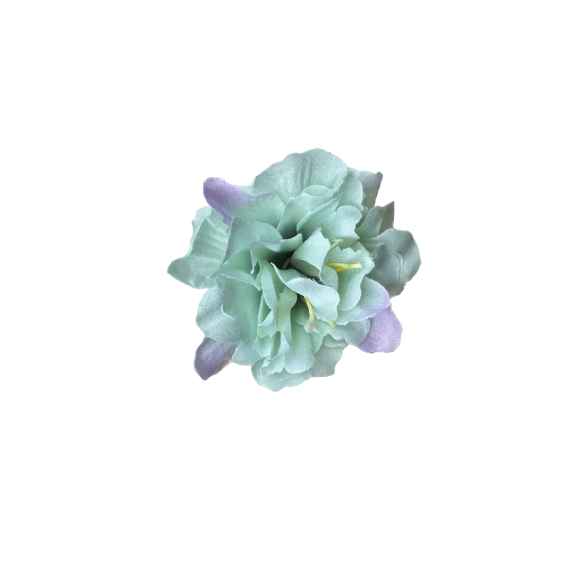 Bloom & Write: Multi Color
