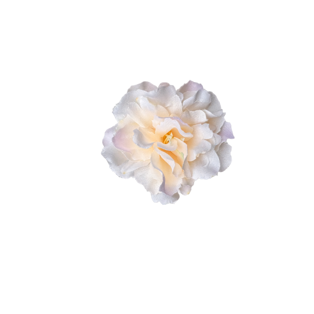 Bloom & Write: Multi Color