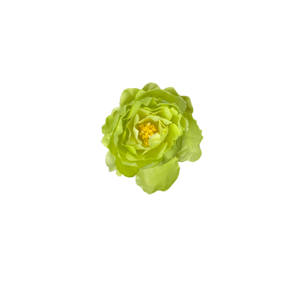 Bloom & Write: Rose