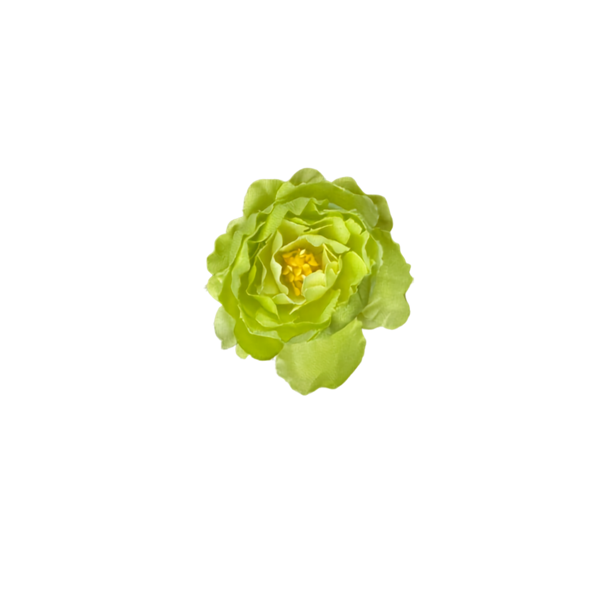 Bloom & Write: Rose