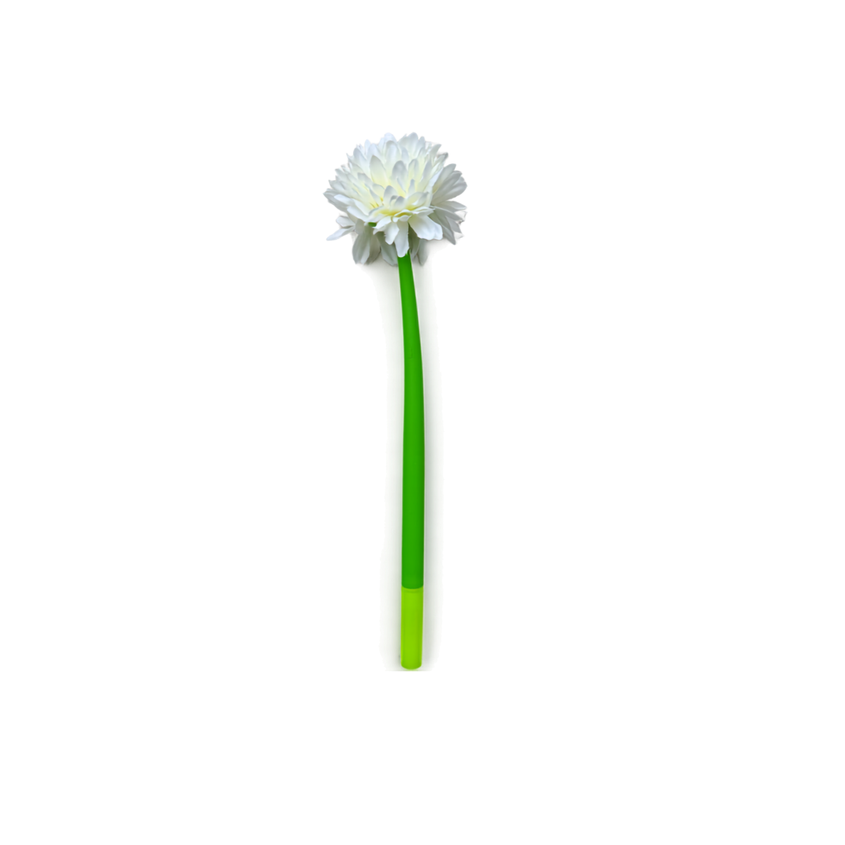 Bloom & Write: Dahlia
