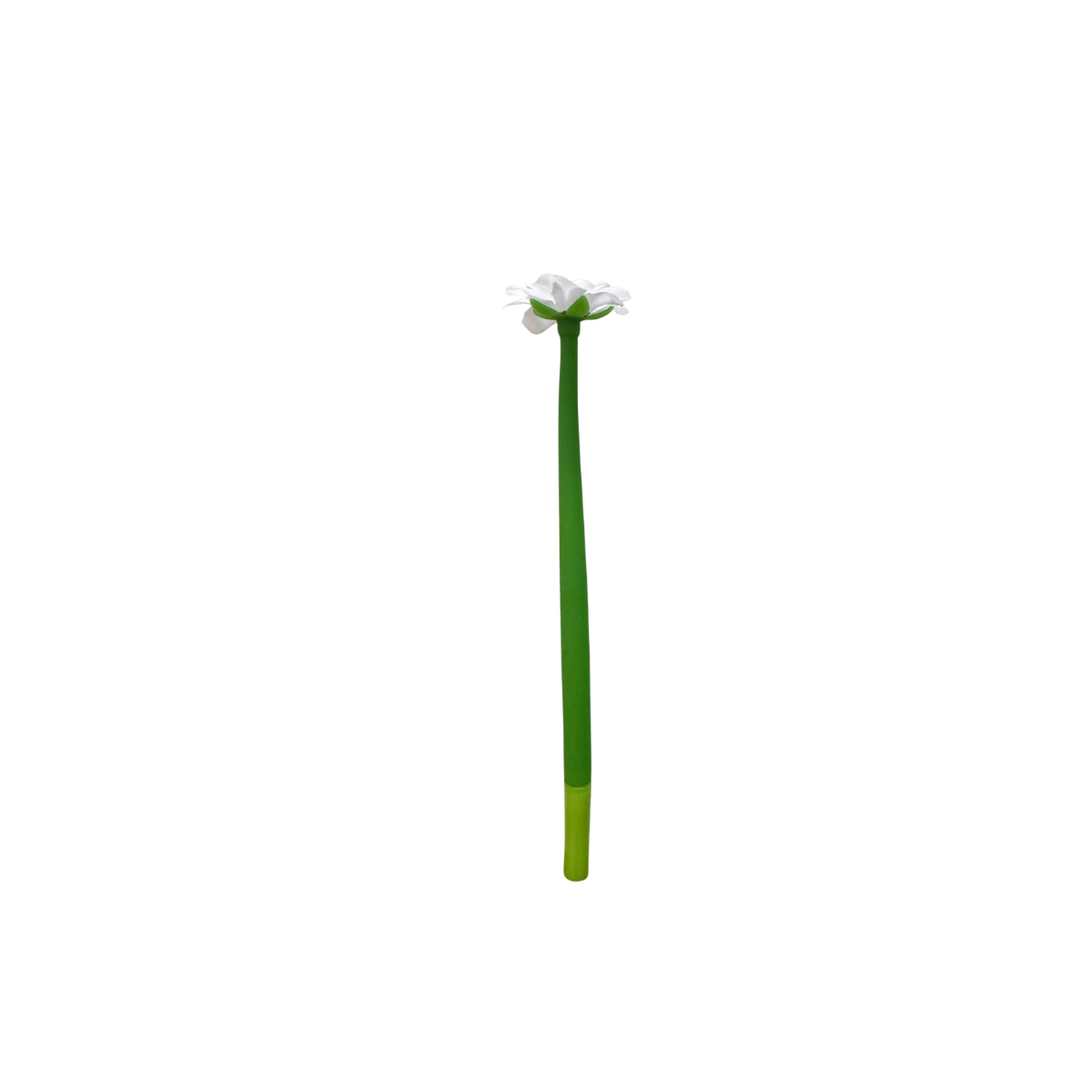 Bloom & Write : Daisy