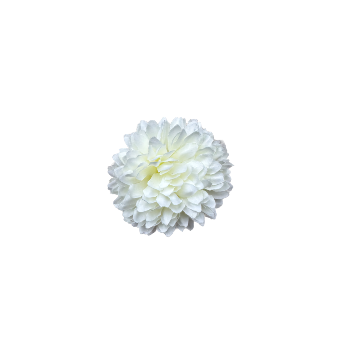 Bloom & Write: Dahlia