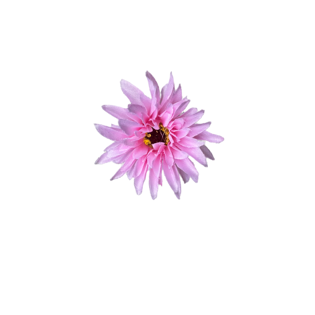 Bloom & Write: Dahlia