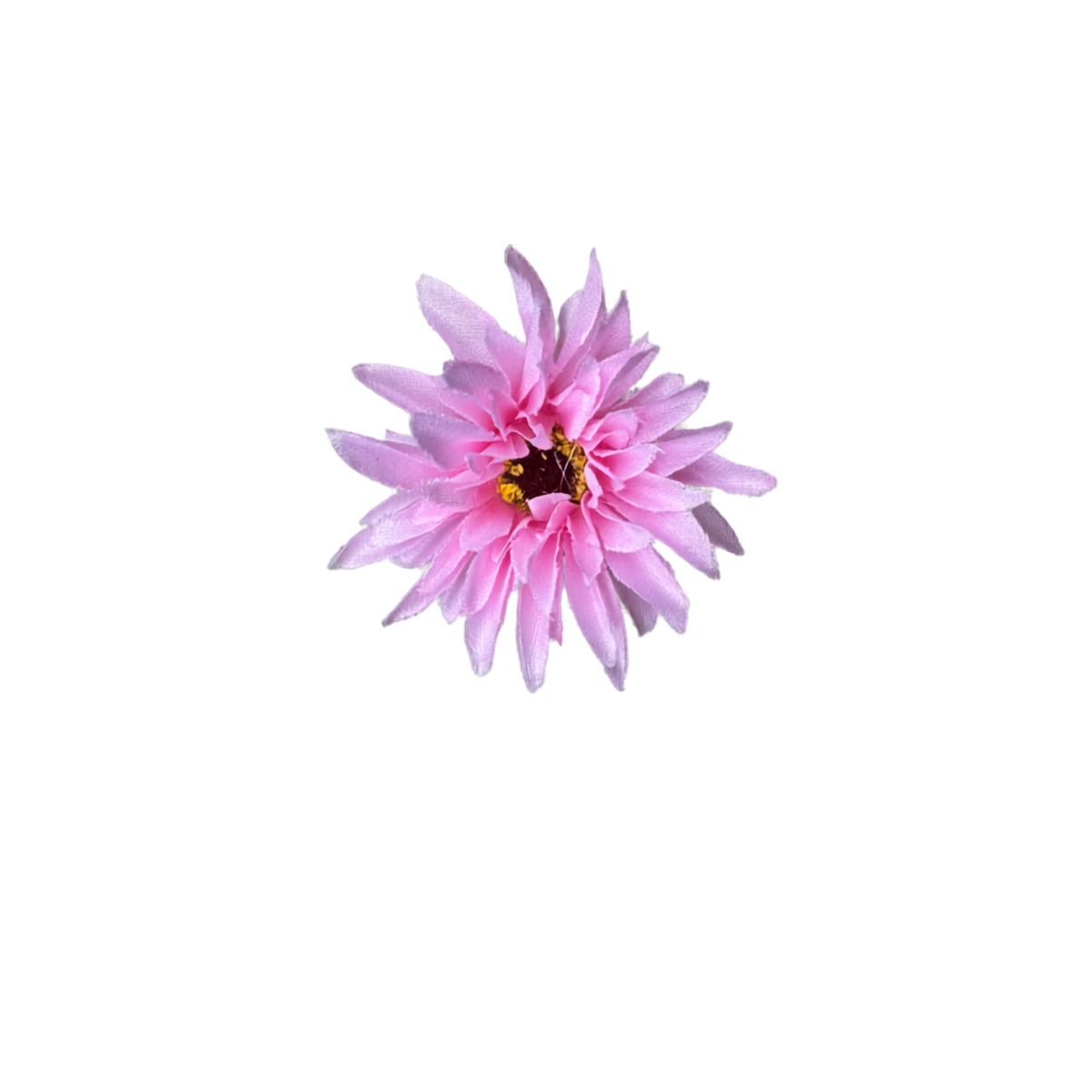 Bloom & Write: Dahlia