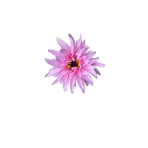 Bloom & Write: Dahlia