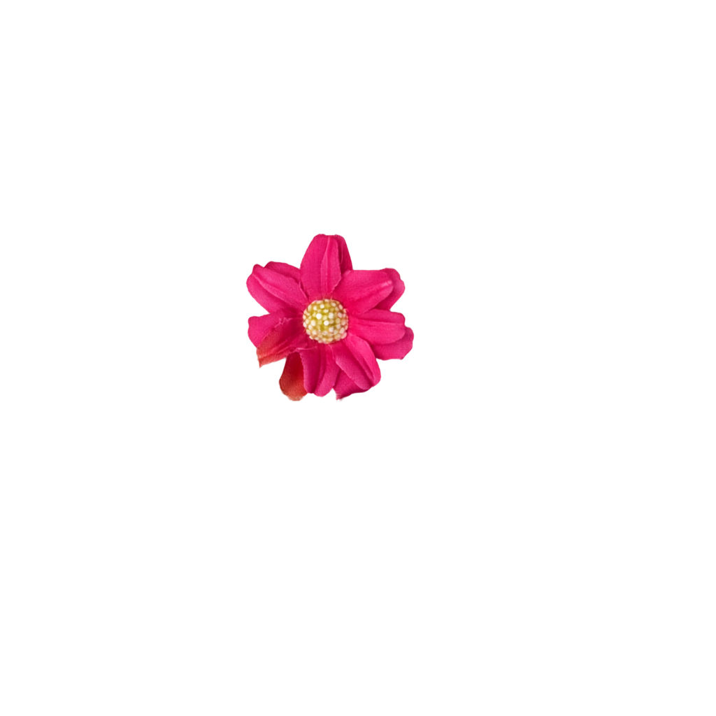 Bloom & Write : Daisy