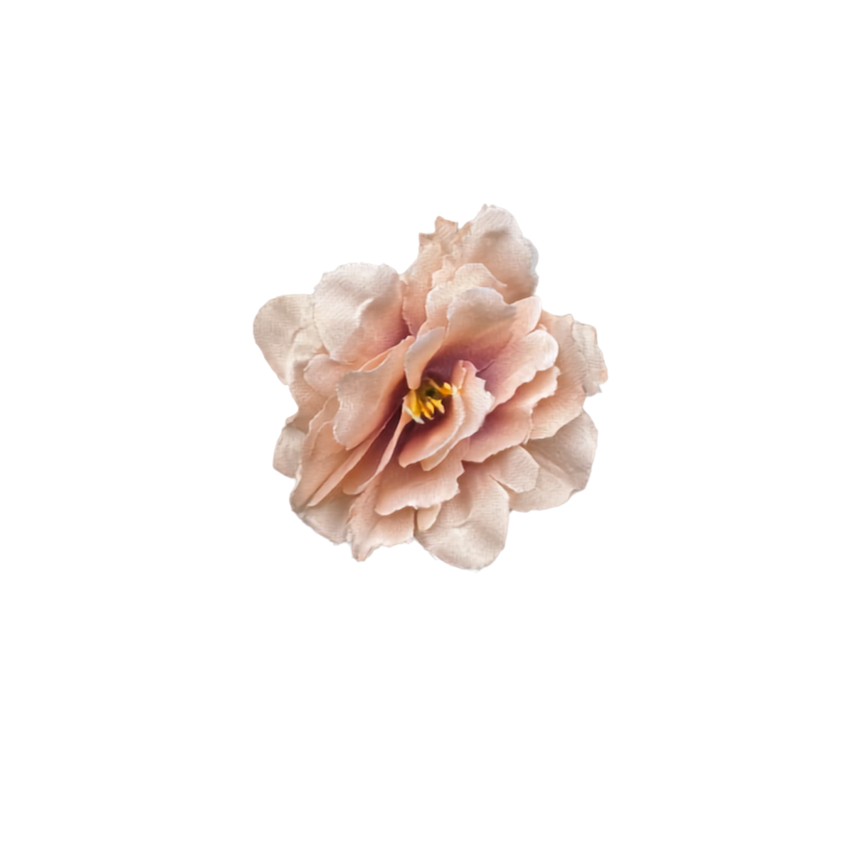 Bloom & Write: Multi Color