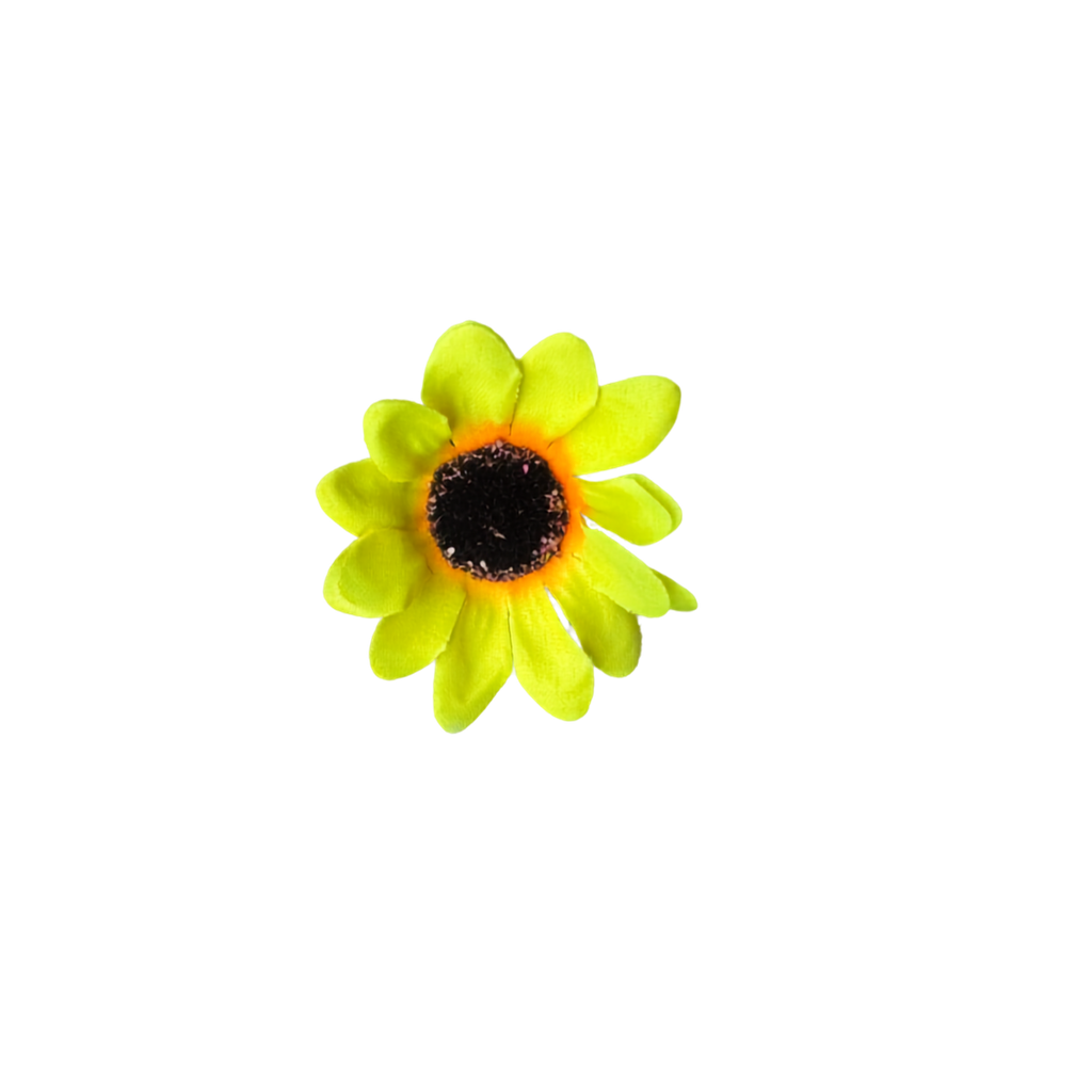 Bloom & Write: Sunflower