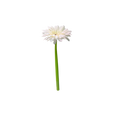 Bloom & Write: Treasure Flower (white)