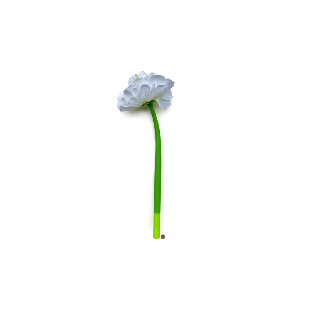 Bloom & Write: Multi Color