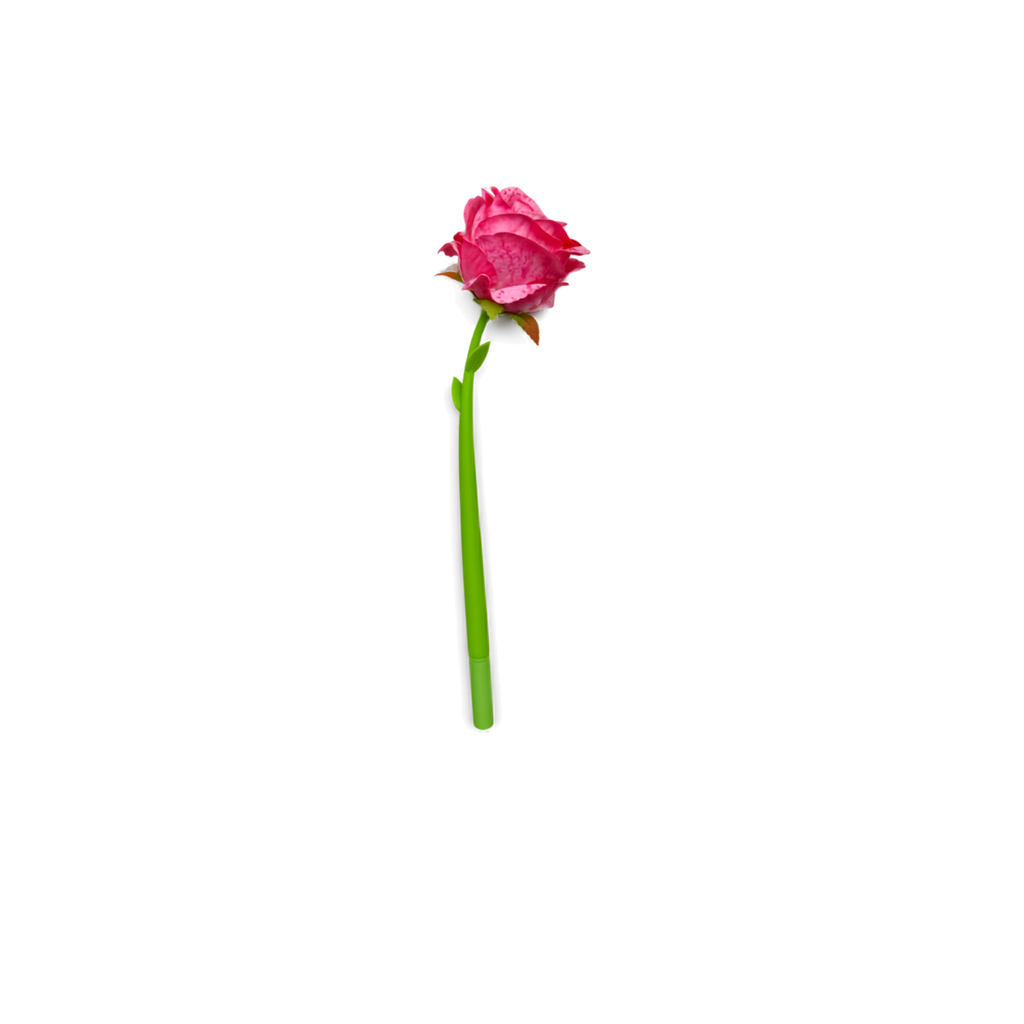 Bloom & Write: Rose