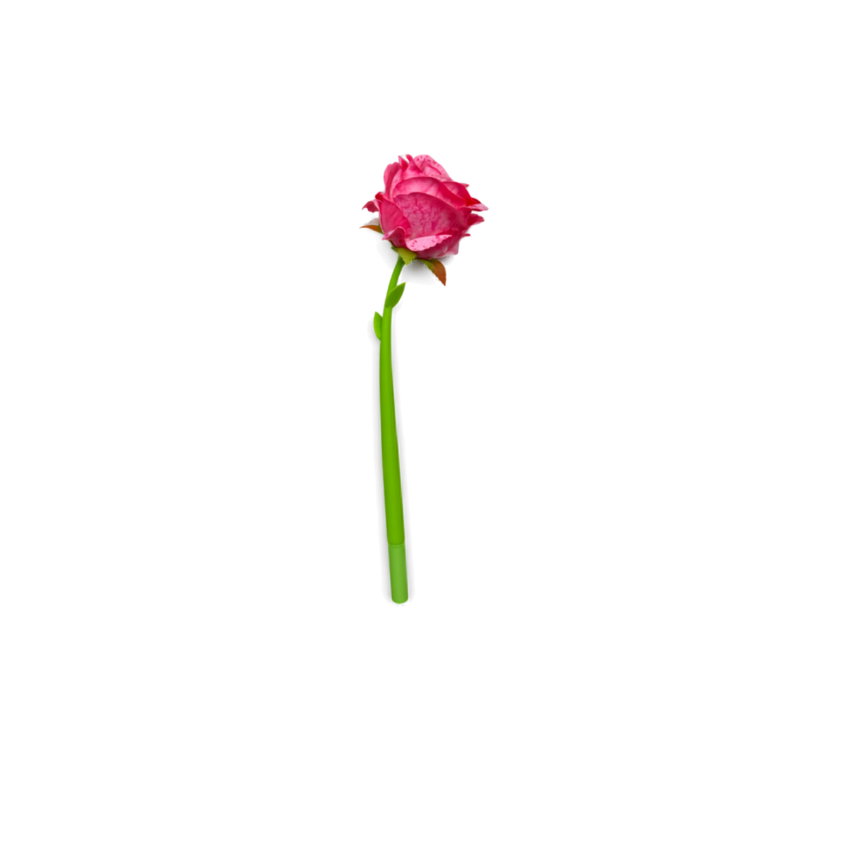 Bloom & Write: Rose