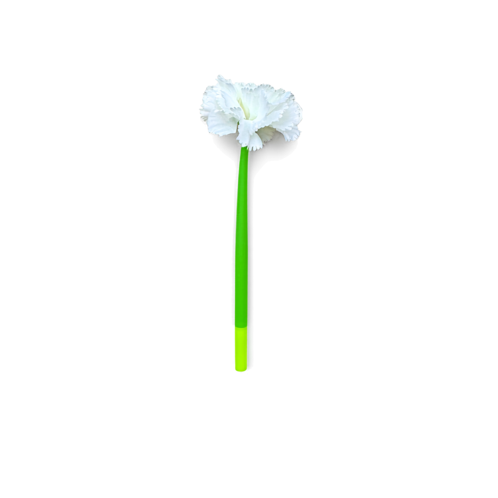 Bloom & Write: Carnation